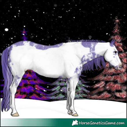 Horse Color:Watercolor Black Sabino Frame 