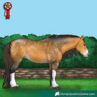 Horse Color:Buckskin Sabino Tobiano