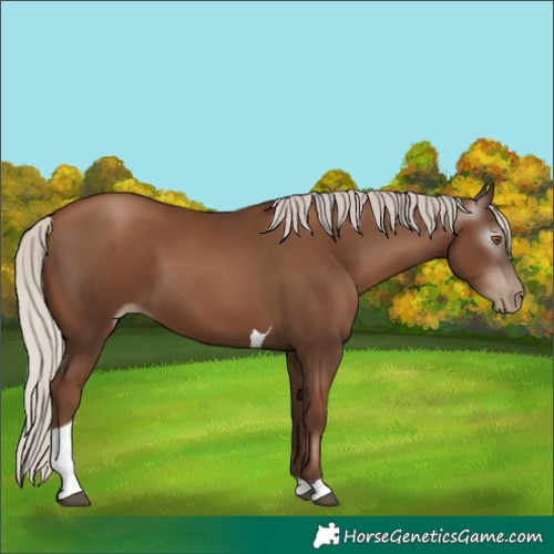 Horse Color:Gray Silver Black Pearl Tobiano 