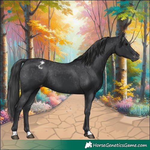 Horse Color:Black Varnish Rabicano 