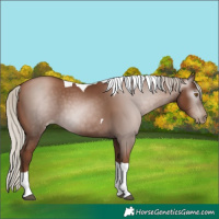 Horse Color:Gray Silver Black Pearl Tobiano 