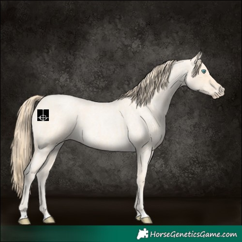 Horse Color:Buckskin Roan Pearl  and Perlino Roan 
