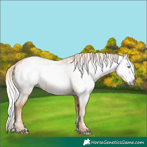 Horse Color:Gray Cremello Splash  and Gray Cremello Splash 