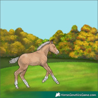 Horse Color:Silver Classic Champagne 