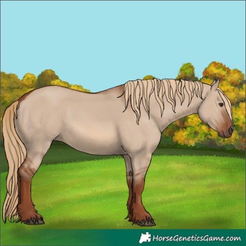 Horse Color:Red Dun 