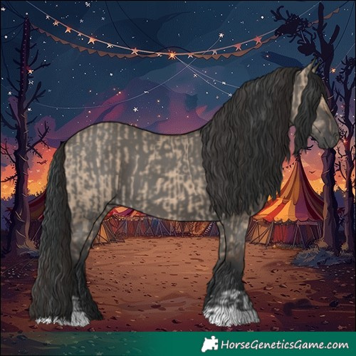 Horse Color:Bay Dun  and Grullo 