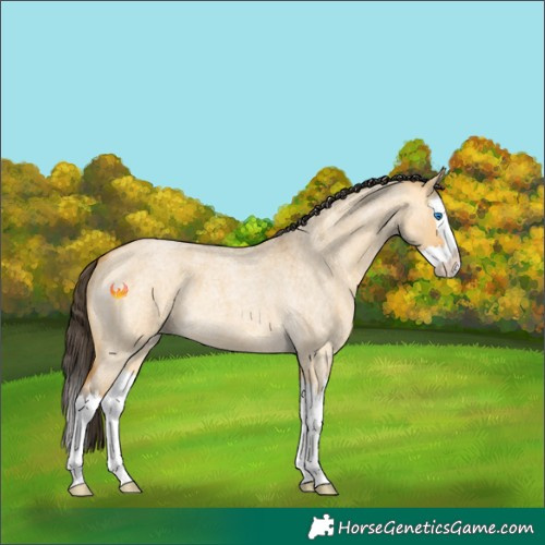 Horse Color:Buckskin Roan Dun Splash 
