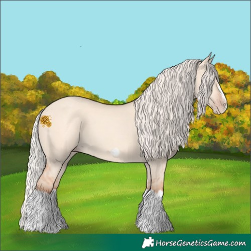 Horse Color:Silver Classic Champagne Dun Splash Frame 