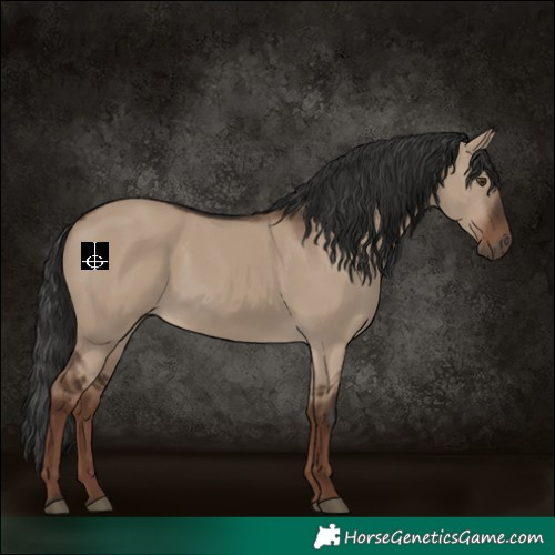 Horse Color:Liver Red Dun Rabicano 