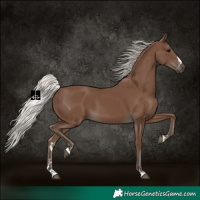 Horse Color:Silver Black 