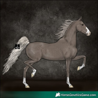 Horse Color:Silver Black 