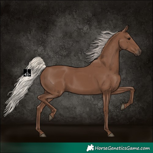 Horse Color:Silver Black 