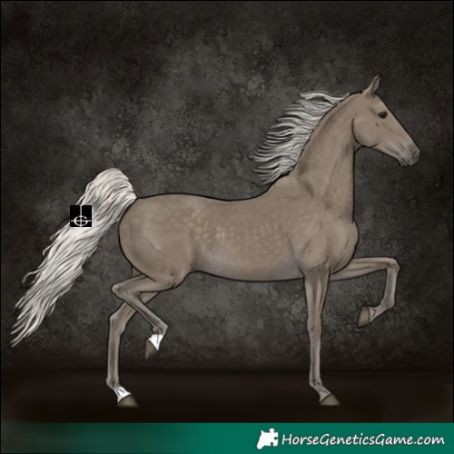 Horse Color:Silver Smoky Black 