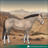 Horse Color:Brown Dun  and Sable Champagne Dun 