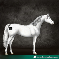 Horse Color:Cremello Leopard 