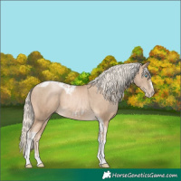 Horse Color:Chocolate Palomino Pearl Tobiano Frame  and Chocolate Palomino Pearl Tobiano Frame 
