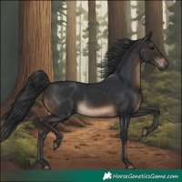 Horse Color:Brown 