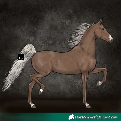 Horse Color:Silver Black 