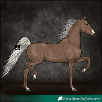 Horse Color:Silver Black 