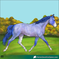 Horse Color:Watercolor Liver Red Roan Sabino Blanket 