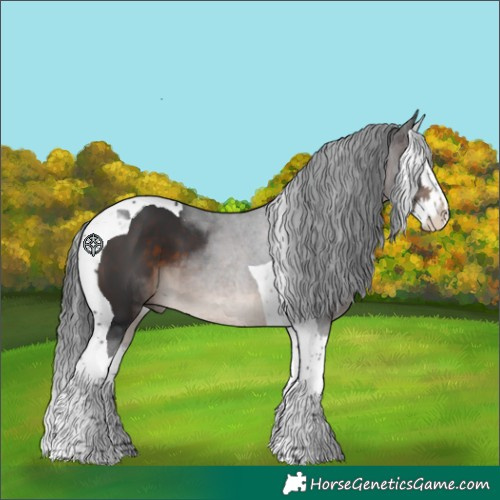 Horse Color:Brown Splash Tobiano 