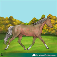 Horse Color:Watercolor Silver Black Tobiano Rabicano 