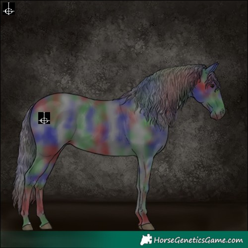 Horse Color:Nacre Black 