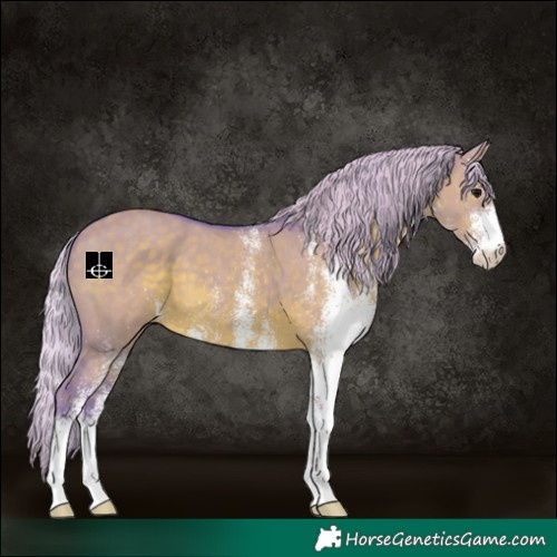 Horse Color:Watercolor White Spotted Silver Grullo 