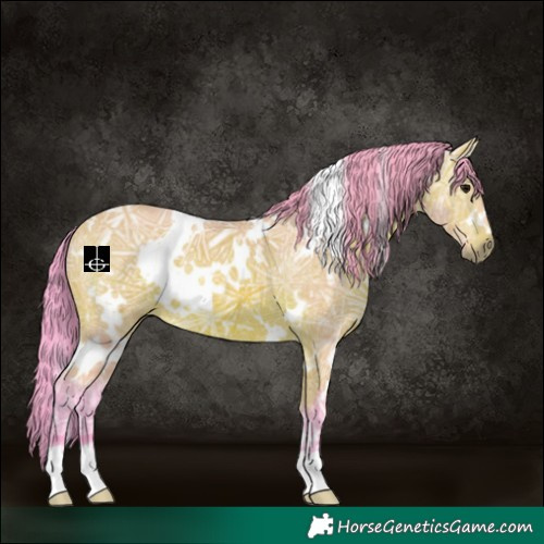 Horse Color:Watercolor White Spotted Bay Ice 