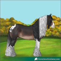 Horse Color:Brown Splash Tobiano 