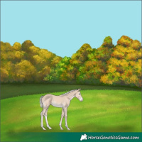 Horse Color:Silver Smoky Creme 