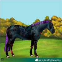 Horse Color:ERROR: UNKNOWN ANOMALY