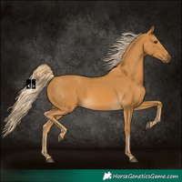 Horse Color:Palomino 