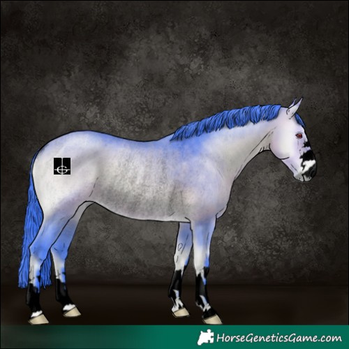 Horse Color:Void Watercolor Bay Chinchilla Onyx Rabicano 