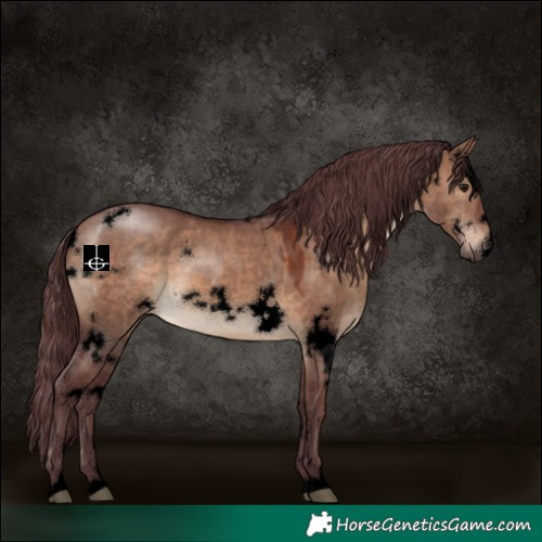 Horse Color:Void White Spotted Chocolate Brown Dun 