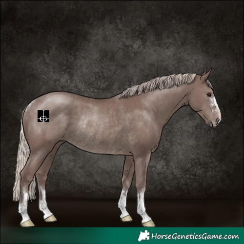Horse Color:Chocolate Silver Black Rabicano 