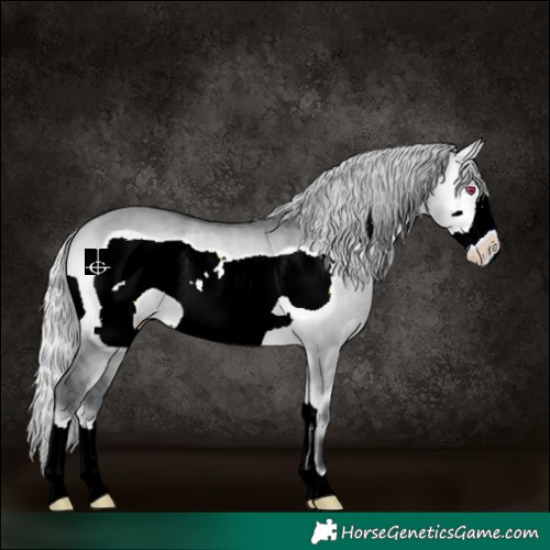 Horse Color:Silver Bay Chinchilla Onyx Frame 