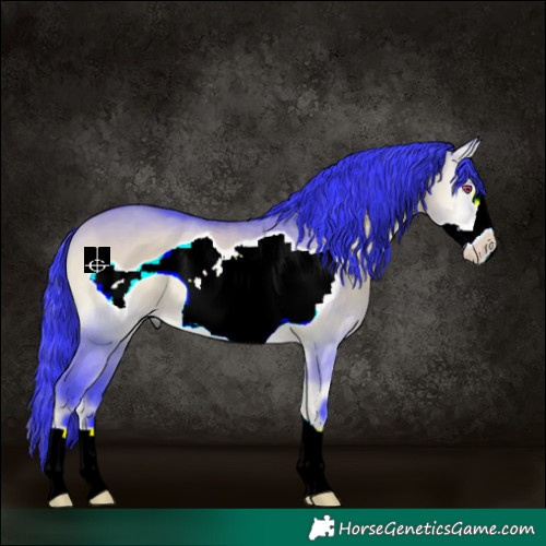 Horse Color:Watercolor Bay Chinchilla Onyx Frame 