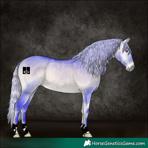 Horse Color:Watercolor Silver Bay Chinchilla Onyx 