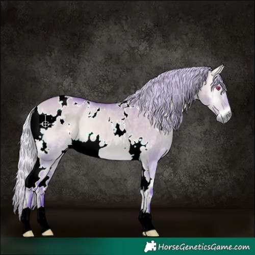 Horse Color:Watercolor White Spotted Silver Bay Chinchilla Onyx 