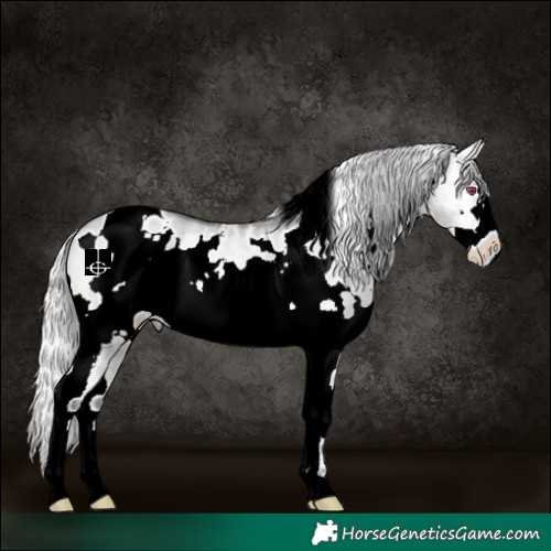 Horse Color:White Spotted Silver Bay Chinchilla Onyx Frame 