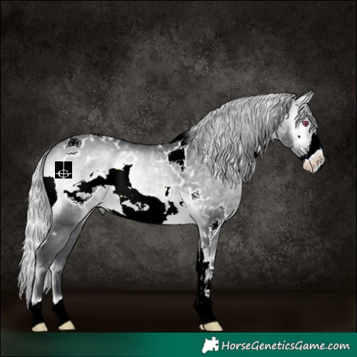 Horse Color:White Spotted Silver Brown Chinchilla Onyx Frame 