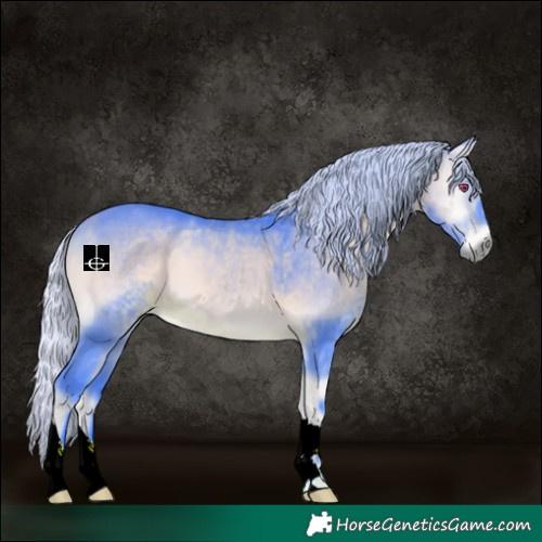 Horse Color:Watercolor Silver Bay Chinchilla Onyx 