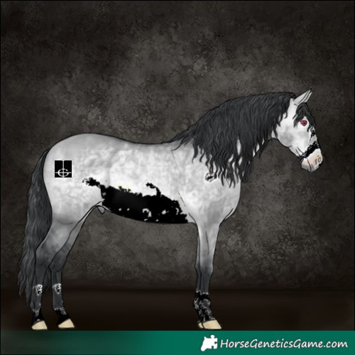 Horse Color:Bay Chinchilla Dun Frame 
