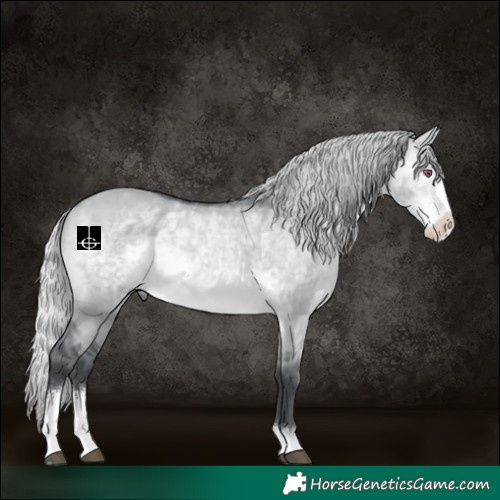 Horse Color:Silver Brown Chinchilla Dun Sabino 