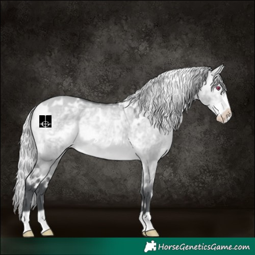 Horse Color:White Spotted Silver Bay Chinchilla Dun Frame 