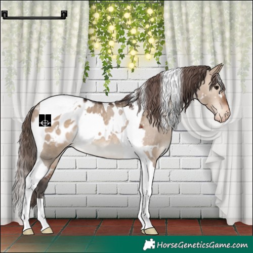 Horse Color:White Spotted Brown Dun Tobiano Blanket 