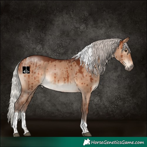 Horse Color:Silver Brown Dun Tobiano Rabicano Brindle 