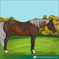 Horse Color:Silver Brown