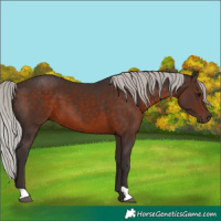 Horse Color:Silver Brown 